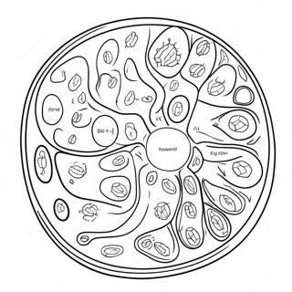 Kolorowanka Z Diagramem Komorki Roslinnej 10817-8867