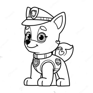 Kolorowanka Z Przygod Liberty Paw Patrol 14860-12284