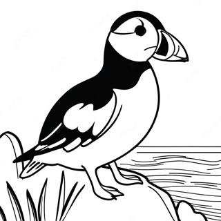 Kolorowanka Z Puffin Rock 16652-14023