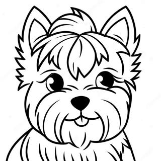 Yorkshire Terrier Kolorowanki