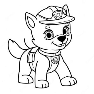 Kolorowanka Rocky Z Paw Patrol W Akcji 20783-19241