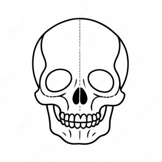 Kolorowanka Pustego Diagramu Czaszki 23153-21258