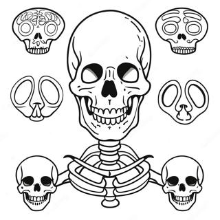 Kolorowanka Anatomii Ludzkiego Szkieletu 37506-31220