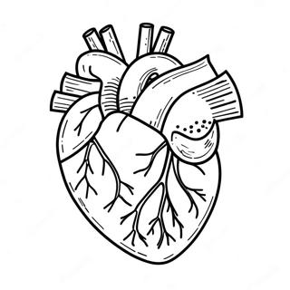 Kolorowanka Anatomii Serca 3950-3195