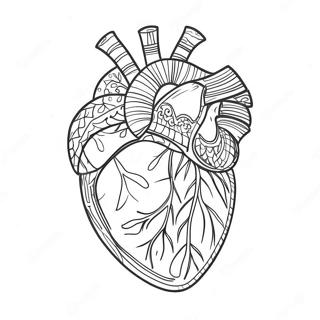 Szczegolowa Kolorowanka Z Anatomia Serca 3951-3198