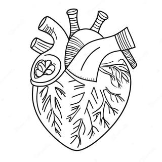 Szczegolowa Kolorowanka Z Anatomia Serca 3951-3200