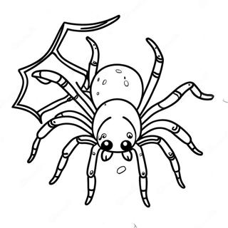 Strona Do Kolorowania Z Tarantula 40517-33584