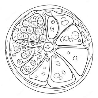 Kolorowanka Z Diagramem Komorki Zwierzecej 40618-33662