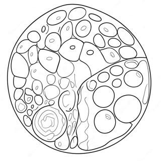 Kolorowanka Z Diagramem Komorki Zwierzecej 40618-33663