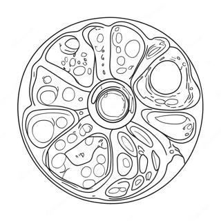 Kolorowanka Z Diagramem Komorki Zwierzecej 40618-33664