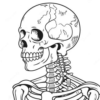 Anatomia Człowieka Kolorowanki