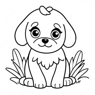 Cavapoo Kolorowanki