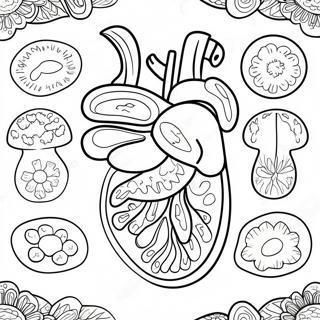 Kolorowanka Z Kolorowymi Organami Pokarmowymi 53639-44716