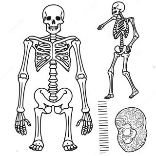 Interaktywna Kolorowanka Z Anatomia Szkieletu 67953-56047