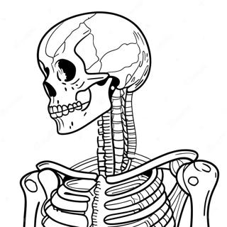 Interaktywna Kolorowanka Z Anatomia Szkieletu 67953-56048