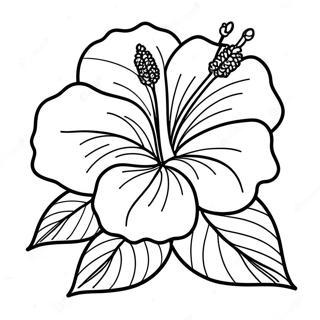 Hibiskus Kolorowanki