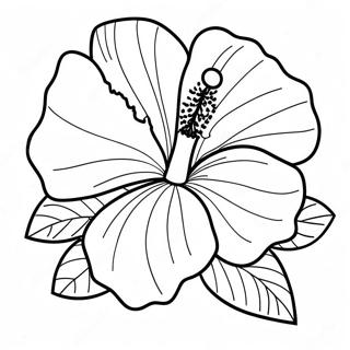 Kolorowanka Kwiatu Hibiskusa 7044-5730