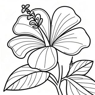 Kolorowanka Kwiatu Hibiskusa 7044-5732