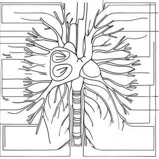 Kolorowanka Diagramu Ukladu Krazenia 73324-60542