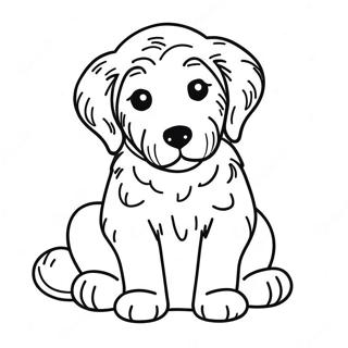 Kolorowanka Szczeniaka Goldendoodle 7934-6444