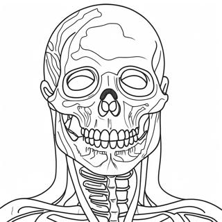 Kolorowanka Z Anatomia 981-784