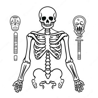 Kolorowanka Z Anatomia Szkieletu Ludzkiego 982-786